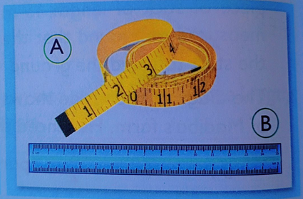 Individual Length Length